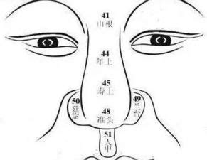 福鼻面相|14种鼻型图解 最全鼻子看相解读命运